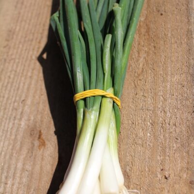 Mladi luk pušlek 200 g