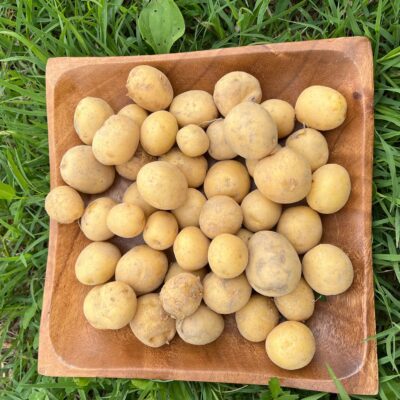 Krumpir bijeli sitni kg