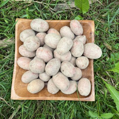 Eko Krumpir crveni sitni kg