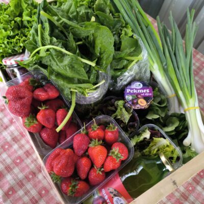 Eko Košarica velika