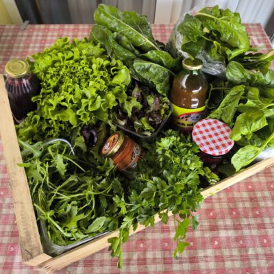 Eko Košarica velika